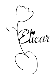 ELICAR logo