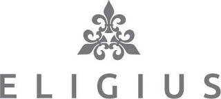 ELIGIUS logo