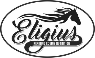 ELIGIUS REFINING EQUINE NUTRITION logo
