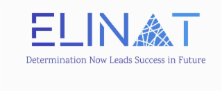 ELINAT DETERMINATION NOW LEADS SUCCESS IN FUTURE logo