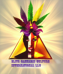 ELITE CANNABIS CULTURE INTERNATIONAL LLC logo