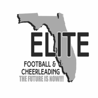 ELITE FOOTBALL & CHEERLEADING FUTURE IS NOW!!! logo