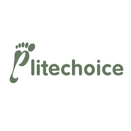 ELITECHOICE logo