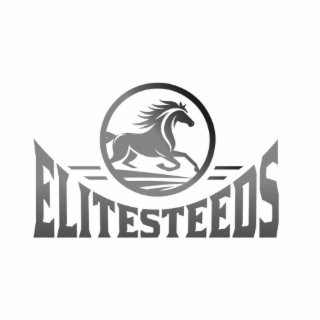 ELITESTEEDS logo