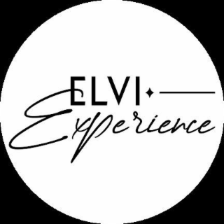 ELVI EXPERIENCE logo