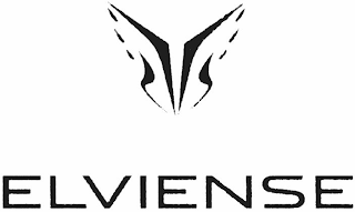 ELVIENSE logo