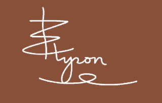 ELYZON logo