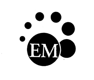 EM logo