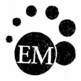 EM logo
