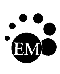 EM logo