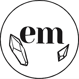 EM logo