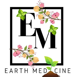 EM EARTH MEDICINE logo