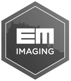 EM IMAGING logo