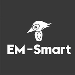 EM-SMART logo