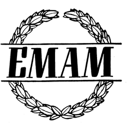 EMAM logo