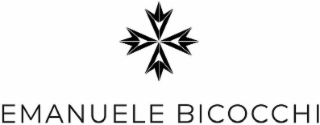 EMANUELE BICOCCHI logo