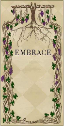 EMBRACE logo
