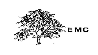 EMC logo