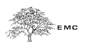 EMC logo
