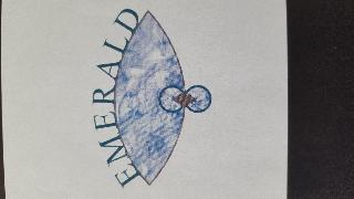EMERALD 8 logo