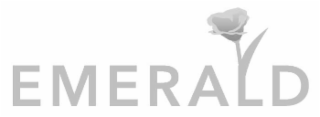 EMERALD logo