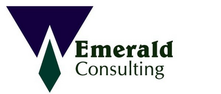 EMERALD CONSULTING logo