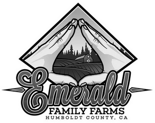 EMERALD FAMILY FARMS HUMBOLDT COUNTY, CA logo