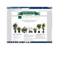 EMERALD ISLE TROPICAL PLANTS logo