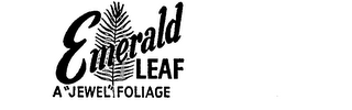 EMERALD LEAF A "JEWEL FOLIAGE" logo
