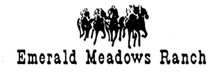 EMERALD MEADOWS RANCH logo