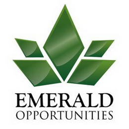 EMERALD OPPORTUNITIES logo