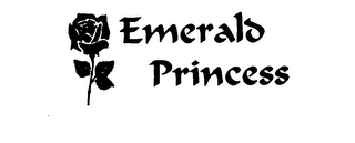 EMERALD PRINCESS logo