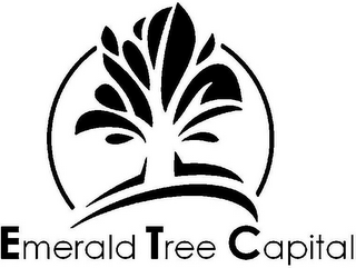 EMERALD TREE CAPITAL logo