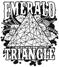 EMERALD TRIANGLE logo