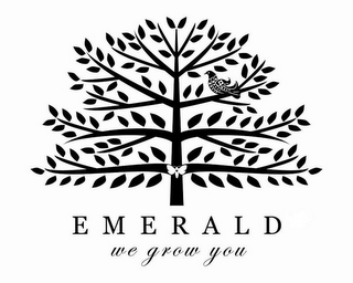 EMERALD WE GROW YOU logo