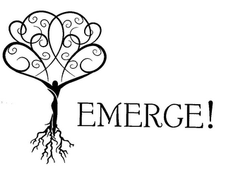 EMERGE! logo