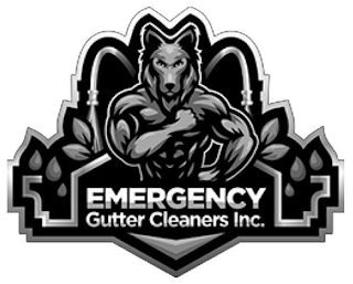 EMERGENCY GUTTER CLEANERS INC. logo