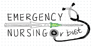 EMERGENCY NURSING OR BUST logo