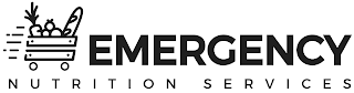 EMERGENCY NUTRITION SERVICES logo