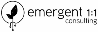 EMERGENT 1:1 CONSULTING logo