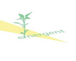 EMERGENT logo