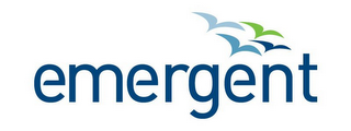 EMERGENT logo