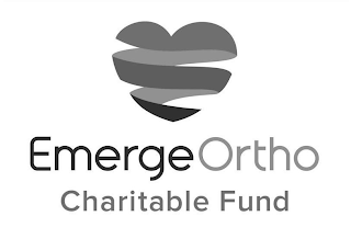 EMERGEORTHO CHARITABLE FUND logo