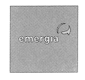 EMERGIA logo