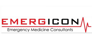 EMERGICON EMERGENCY MEDICINE CONSULTANTS logo