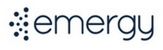 EMERGY logo