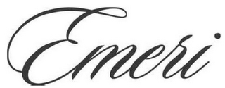 EMERI logo