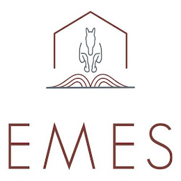 EMES logo