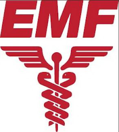 EMF logo