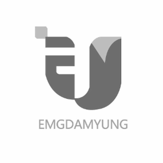 EMGDAMYUNG logo